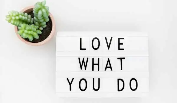 Love what you do