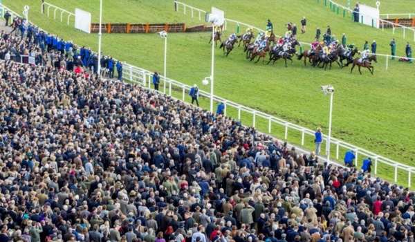 Cheltenham Gold Cup